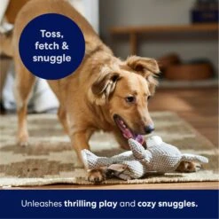 Frisco Bunny Textured Plush Squeaky Dog Toy -Pet Dog Toys 174693 PT4. AC SS1800 V1695671088