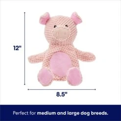 Frisco Pig Textured Plush Squeaky Dog Toy -Pet Dog Toys 174695 PT1. AC SS1800 V1695670747