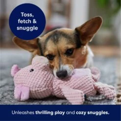 Frisco Pig Textured Plush Squeaky Dog Toy -Pet Dog Toys 174695 PT4. AC SS1800 V1695670689