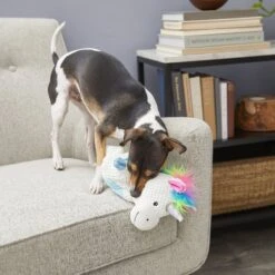 Frisco Unicorn Textured Plush Squeaky Dog Toy -Pet Dog Toys 174699 PT2. AC SS1800 V1573492386