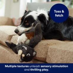 Frisco Rhino Muscle Plush Squeaky Dog Toy -Pet Dog Toys 174719 PT3. AC SS1800 V1691784246