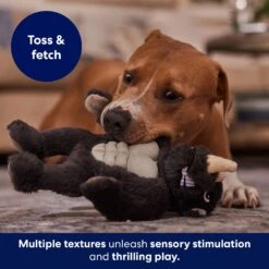 Frisco Rhino Muscle Plush Squeaky Dog Toy -Pet Dog Toys 174719 PT5. AC SS1800 V1694182068