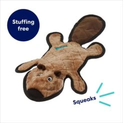 Frisco Beaver Stuffing-Free Flat Plush Squeaky Dog Toy -Pet Dog Toys 174729 PT2. AC SS1800 V1695670690