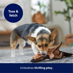 Frisco Beaver Stuffing-Free Flat Plush Squeaky Dog Toy -Pet Dog Toys 174729 PT4. AC SS1800 V1695671063