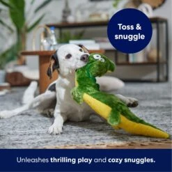 Frisco Alligator Wagazoo Plush Squeaky Dog Toy 12 Frisco Alligator Wagazoo Plush Squeaky Dog Toy -Pet Dog Toys 174751 PT4. AC SS1800 V1695659148