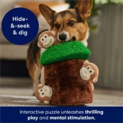 Frisco Monkeys In Tree Hide & Seek Puzzle Plush Squeaky Dog Toy -Pet Dog Toys 174759 PT5. AC SS1800 V1702598595