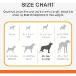 Nylabone Power Chew Customer Favorites Dog Chew Toy Bundle Customer Favorites Bundle Variety -Pet Dog Toys 175398 PT4. AC SS1800 V1692212134