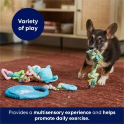 Frisco Little Friends Plush, Flyer & TPR Variety Pack Dog Toy -Pet Dog Toys 177816 PT5. AC SS1800 V1691783909