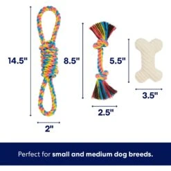 Frisco Jungle Pals Plush & Rope Variety Pack Dog Toy 9 Frisco Jungle Pals Plush & Rope Variety Pack Dog Toy -Pet Dog Toys 177819 PT2. AC SS1800 V1686579629