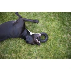 Mammoth Tirebiter II Dog Toy -Pet Dog Toys 178241 PT2. AC SS1800 V1633020418