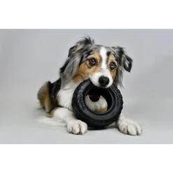 Mammoth Tirebiter II Dog Toy -Pet Dog Toys 178241 PT3. AC SS1800 V1633021675
