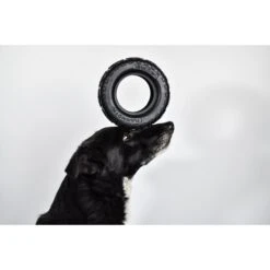 Mammoth Tirebiter II Dog Toy -Pet Dog Toys 178241 PT5. AC SS1800 V1633020097
