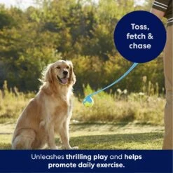 Frisco Ball Launcher & Fetch Squeaky Tennis Ball Dog Toy 10 Frisco Ball Launcher & Fetch Squeaky Tennis Ball Dog Toy -Pet Dog Toys 178477 PT3. AC SS1800 V1695241970
