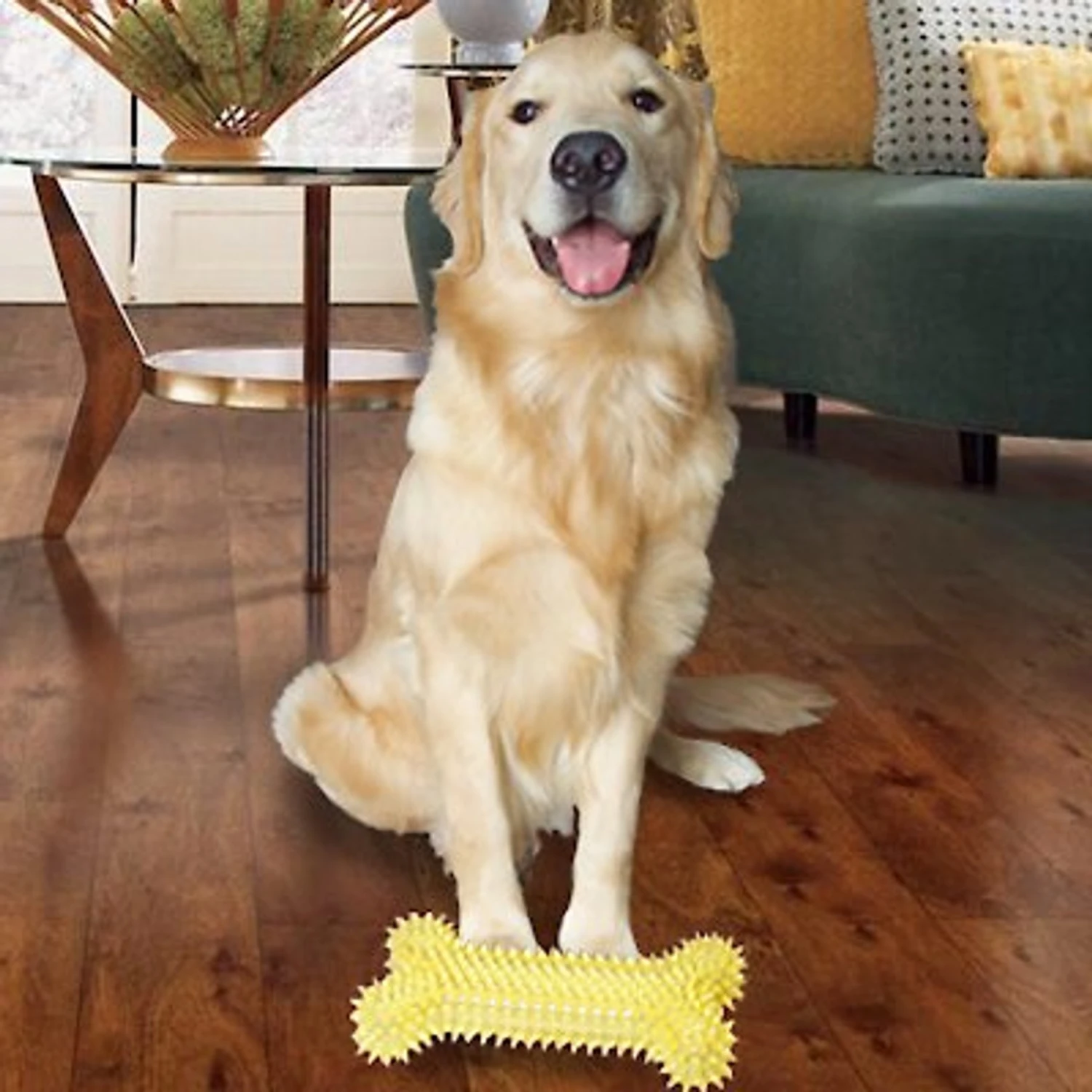 Gnawsome Spikey MegaBone Dog Toy, Color Varies 6 Gnawsome Spikey MegaBone Dog Toy, Color Varies - Image 4