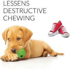 Rocket & Rex Puppy Chew Toy Variety Pack For Small To Medium Breeds -Pet Dog Toys 180484 pt4. AC SS1800 V1564597080