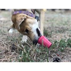 MuttsKickButt Coffee Cup Treat Dispensing Tough Dog Chew Toy -Pet Dog Toys 181041 PT7. AC SS1800 V1564607855