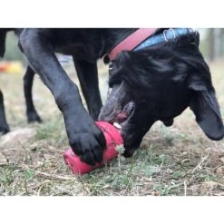 MuttsKickButt Coffee Cup Treat Dispensing Tough Dog Chew Toy -Pet Dog Toys 181041 PT8. AC SS1800 V1564607859