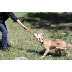 SodaPup Can Opener Tug Dog Chew Toy -Pet Dog Toys 181053 PT5. AC SS1800 V1564608159