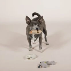 Pet Shop By Fringe Studio Llama Love You Forever Squeaky Plush Mini Dog Toys, 3 Count -Pet Dog Toys 183921 PT2. AC SS1800 V1595369826