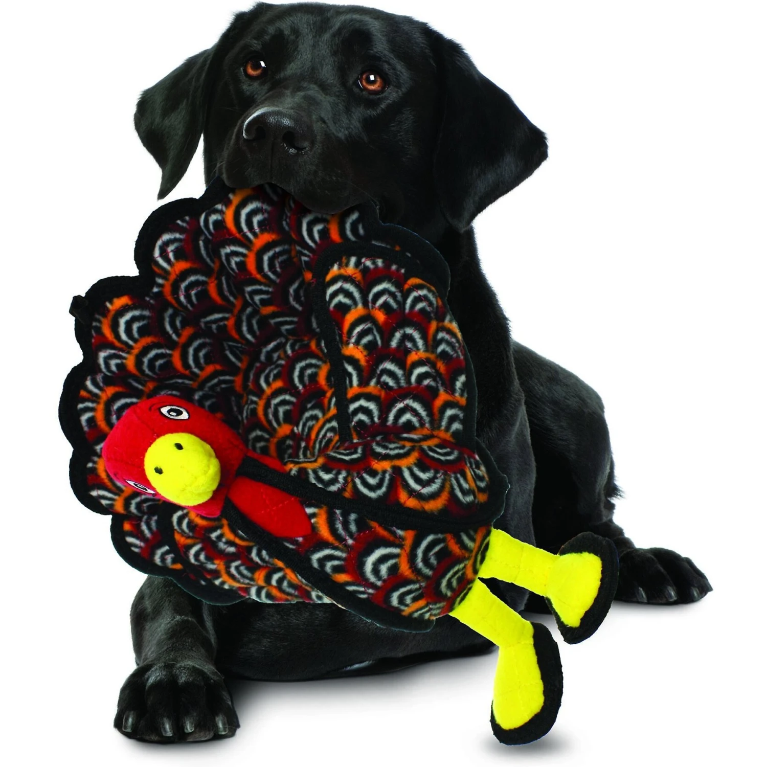 Tuffy's Barnyard Turkey Squeaky Plush Dog Toy 5 Tuffy's Barnyard Turkey Squeaky Plush Dog Toy - Image 3