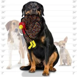 Tuffy's Barnyard Turkey Squeaky Plush Dog Toy 11 Tuffy's Barnyard Turkey Squeaky Plush Dog Toy -Pet Dog Toys 184019 PT3. AC SS1800 V1589570505