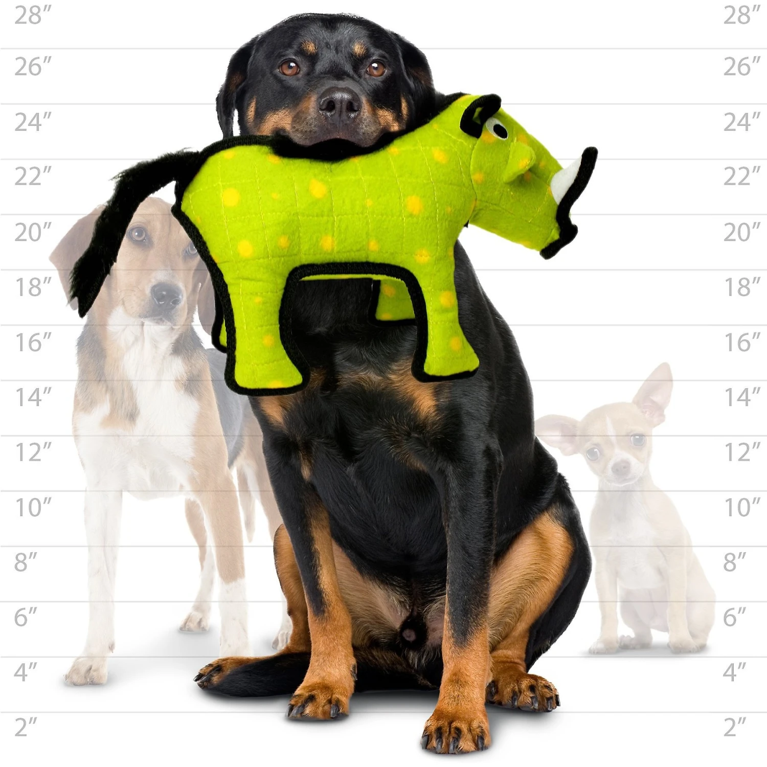 Tuffy's Desert Warthog Plush Dog Toy 6 Tuffy's Desert Warthog Plush Dog Toy - Image 4