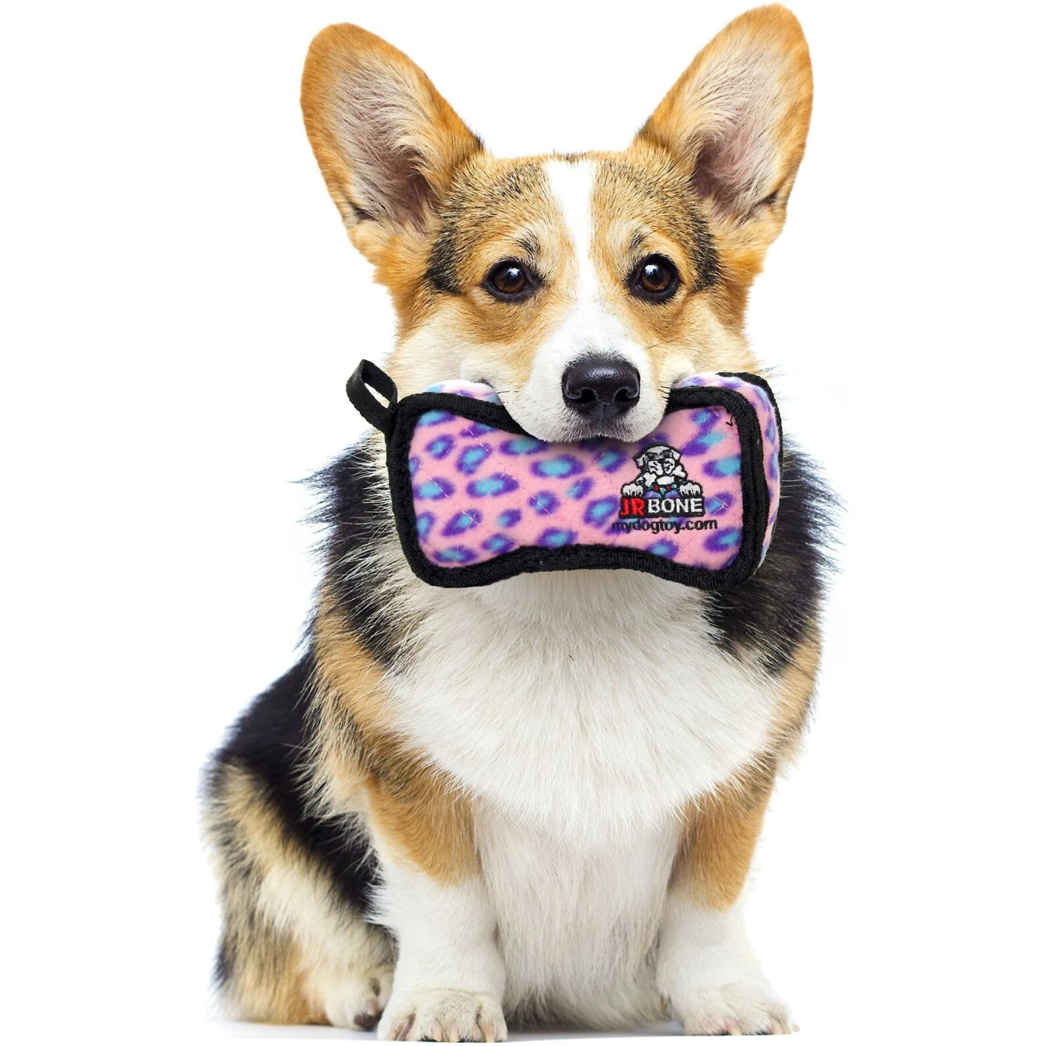 Tuffy's Jr Bone2 Squeaky Plush Dog Toy 5 Tuffy's Jr Bone2 Squeaky Plush Dog Toy - Image 3