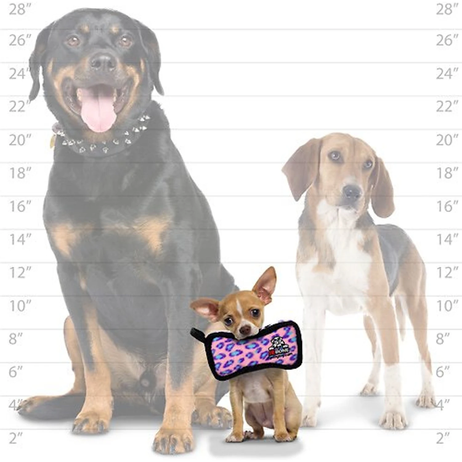 Tuffy's Jr Bone2 Squeaky Plush Dog Toy 6 Tuffy's Jr Bone2 Squeaky Plush Dog Toy - Image 4