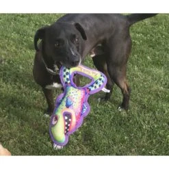 FUZZU Grab Nabbers Fish Tank Hank Squeaker Dog Toy -Pet Dog Toys 190450 PT2. AC SS1800 V1602299764