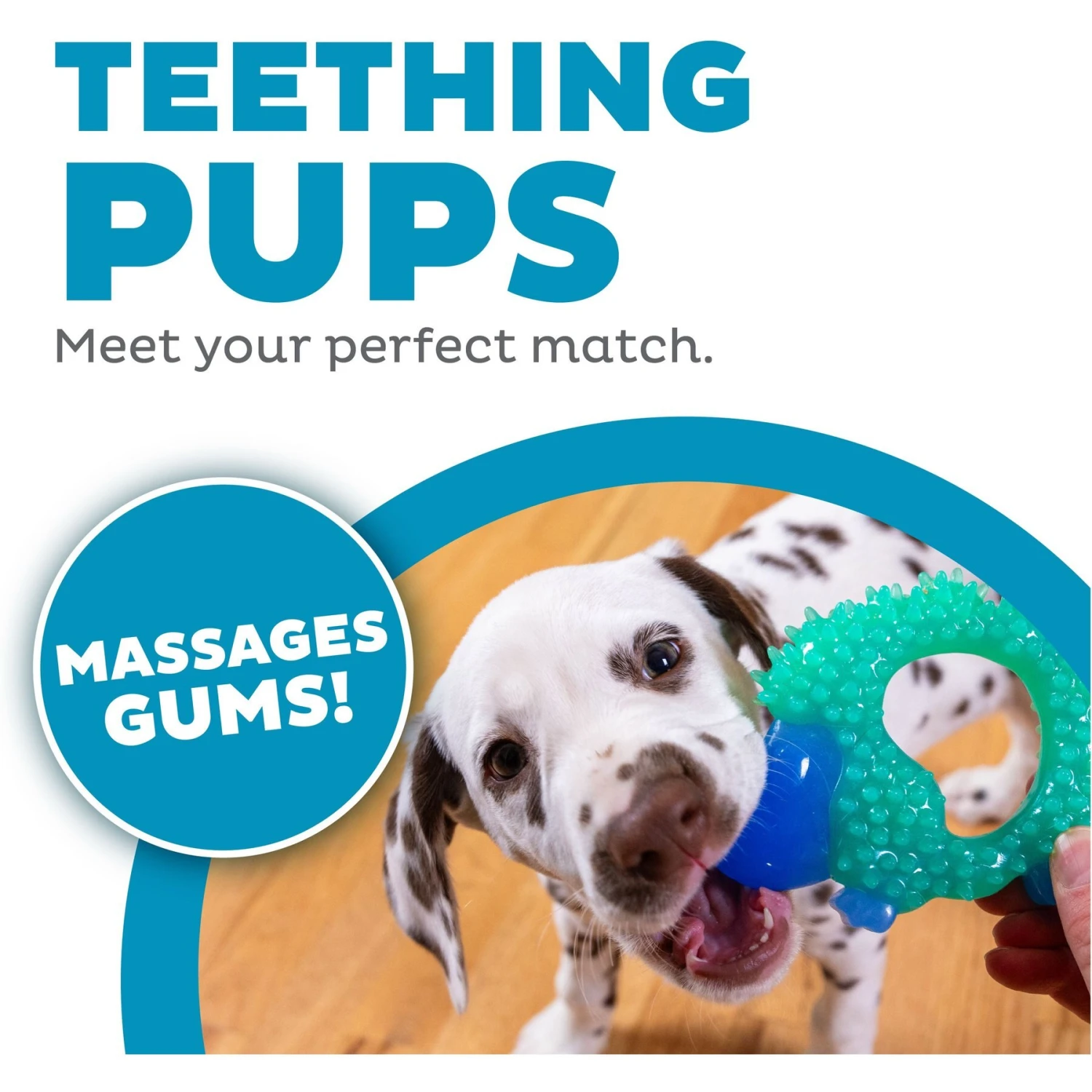 Petstages Cutie Chewies Dog Toy 4 Petstages Cutie Chewies Dog Toy - Image 2