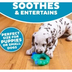 Petstages Cutie Chewies Dog Toy 11 Petstages Cutie Chewies Dog Toy -Pet Dog Toys 190749 PT3. AC SS1800 V1631680605