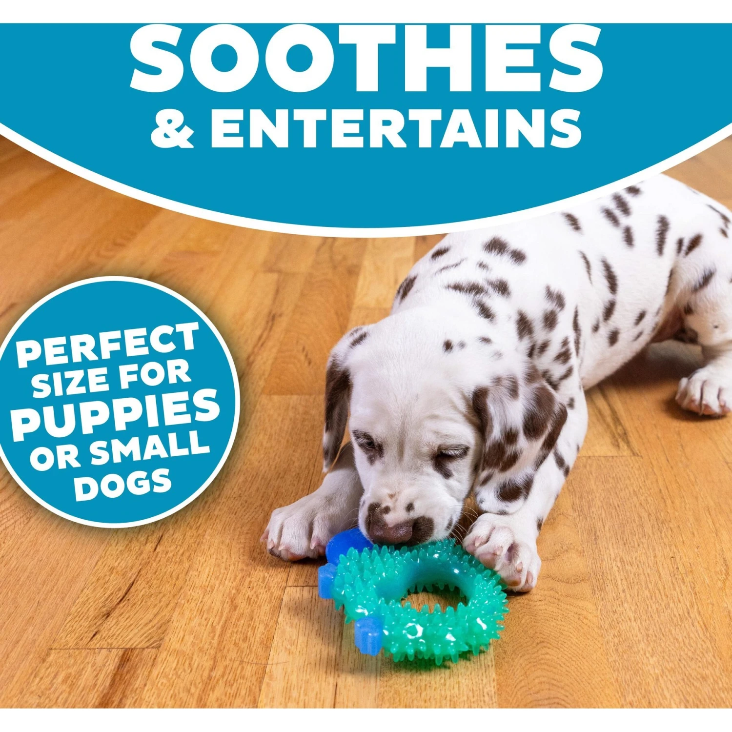 Petstages Cutie Chewies Dog Toy 6 Petstages Cutie Chewies Dog Toy - Image 4