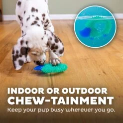 Petstages Cutie Chewies Dog Toy 12 Petstages Cutie Chewies Dog Toy -Pet Dog Toys 190749 PT4. AC SS1800 V1631691093