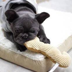 Paws & Pals Seahorse Plush Dog Toy 9 Paws & Pals Seahorse Plush Dog Toy -Pet Dog Toys 190891 PT4. AC SS1800 V1565884054