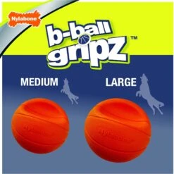 Nylabone Power Play Basketball B-Ball Gripz Dog Toy -Pet Dog Toys 195434 PT3. AC SS1800 V1685646679