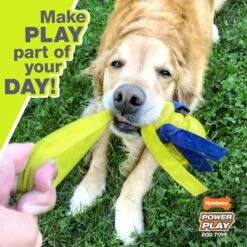 Nylabone Power Play Crazy Ball Dog Toy -Pet Dog Toys 195445 PT2. AC SS1800 V1685647256