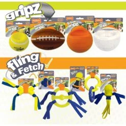 Nylabone Power Play Crazy Ball Dog Toy -Pet Dog Toys 195445 PT5. AC SS1800 V1685646676