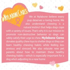 Nylabone Breast Cancer Awareness Dog Power Chew Toy Chicken -Pet Dog Toys 195447 PT3. AC SS1800 V1624081959