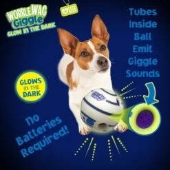 Wobble Wag Giggle Ball Glow In The Dark Squeaky Dog Toy -Pet Dog Toys 205654 PT2. AC SS1800 V1572363188