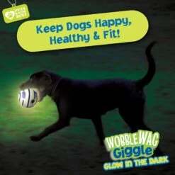 Wobble Wag Giggle Ball Glow In The Dark Squeaky Dog Toy -Pet Dog Toys 205654 PT6. AC SS1800 V1572363199