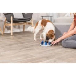 TRIXIE Solitaire Dog Activity Strategy Game Dog Toy -Pet Dog Toys 207413 PT5. AC SS1800 V1668617385