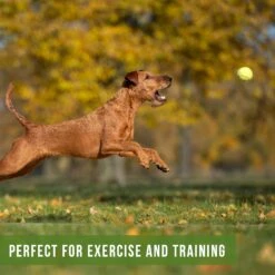 Hyper Pet Tennis Balls Dog Toy, 12 Count -Pet Dog Toys 213217 PT4. AC SS1800 V1575391382