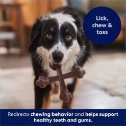 Frisco Bacon Flavor Tough Nylon Dog Chew Toy 12 Frisco Bacon Flavor Tough Nylon Dog Chew Toy -Pet Dog Toys 213430 PT5. AC SS1800 V1691783968