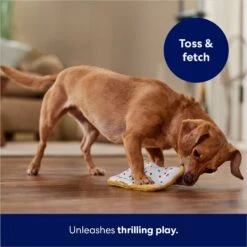 Frisco Frosted Pastry Stuffing-Free Flat Plush Squeaky Dog Toy 12 Frisco Frosted Pastry Stuffing-Free Flat Plush Squeaky Dog Toy -Pet Dog Toys 213812 PT5. AC SS1800 V1686579088