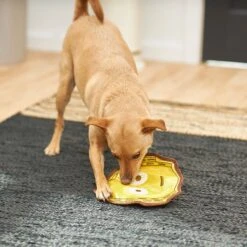 STAR WARS C-3PO Flat Plush Squeaky Dog Toy -Pet Dog Toys 220603 PT3. AC SS1800 V1615586253