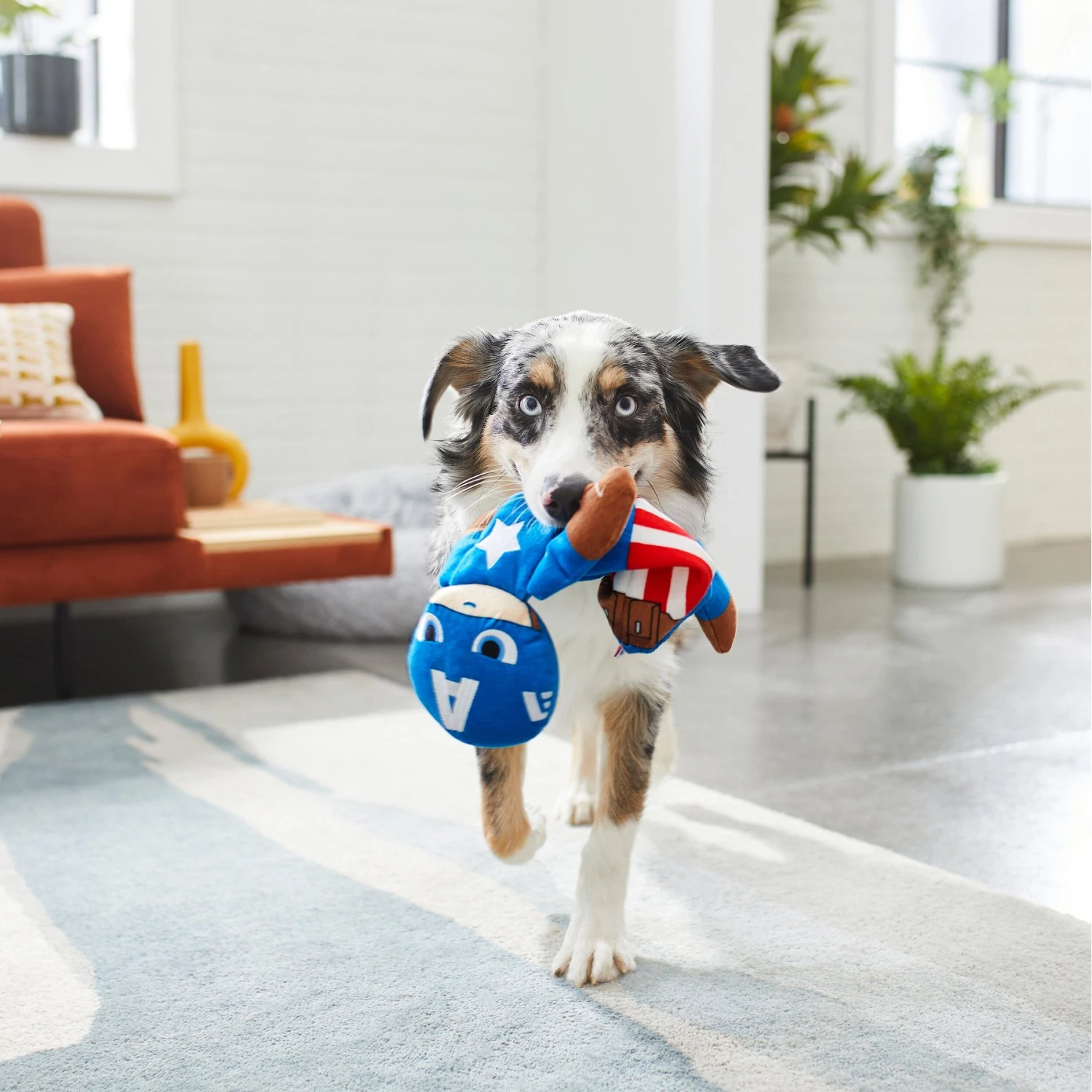 Marvel 's Captain America Bungee Plush Squeaky Dog Toy 5 Marvel 's Captain America Bungee Plush Squeaky Dog Toy - Image 3