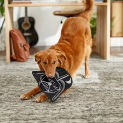 STAR WARS DARTH VADER Flat Plush Squeaky Dog Toy -Pet Dog Toys 220653 PT3. AC SS1800 V1615586195