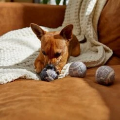 STAR WARS DEATH STAR Fetch Squeaky Tennis Ball Dog Toy, 3 Count 7 STAR WARS DEATH STAR Fetch Squeaky Tennis Ball Dog Toy, 3 Count -Pet Dog Toys 220663 PT2. AC SS1800 V1612366942