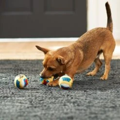 Disney Donald Duck Fetch Squeaky Tennis Ball Dog Toy, 3 Count 7 Disney Donald Duck Fetch Squeaky Tennis Ball Dog Toy, 3 Count -Pet Dog Toys 220671 PT2. AC SS1800 V1612367228