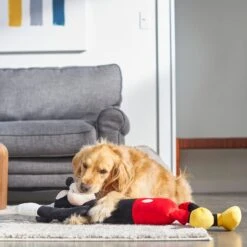 Disney Mickey Mouse Wagazoo Plush Squeaky Dog Toy, Extra Long 7 Disney Mickey Mouse Wagazoo Plush Squeaky Dog Toy, Extra Long -Pet Dog Toys 220783 PT3. AC SS1800 V1621383300